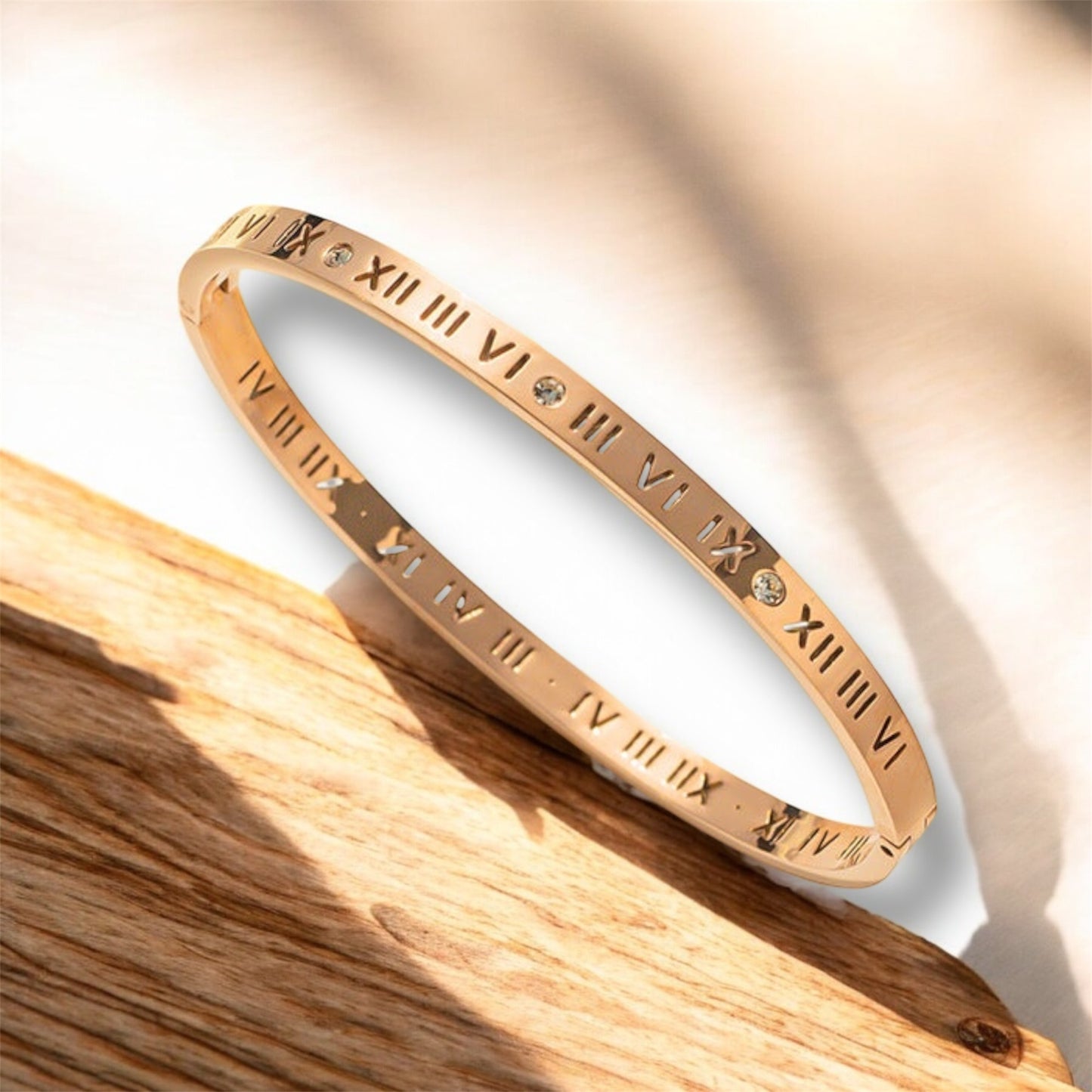 Titanium Steel 18K Gold Plated Bangles